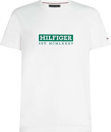 TOMMY HILFIGER mens COLOUR T-SHIRT
