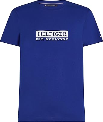 TOMMY HILFIGER mens COLOUR T-SHIRT