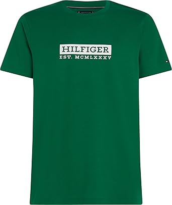 TOMMY HILFIGER mens COLOUR T-SHIRT