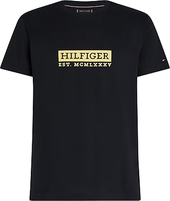 TOMMY HILFIGER mens COLOUR T-SHIRT